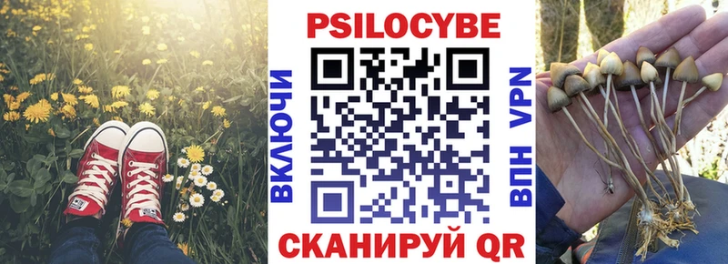 Купить  Кириши  Псилоцибиновые грибы GOLDEN TEACHER 